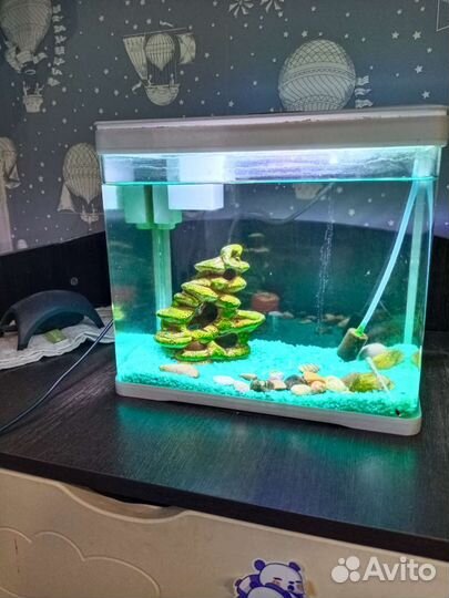Аквариум 15 литров