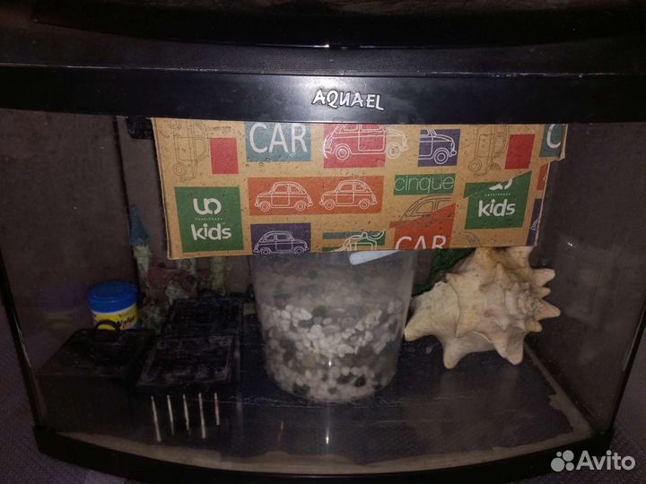 Аквариум