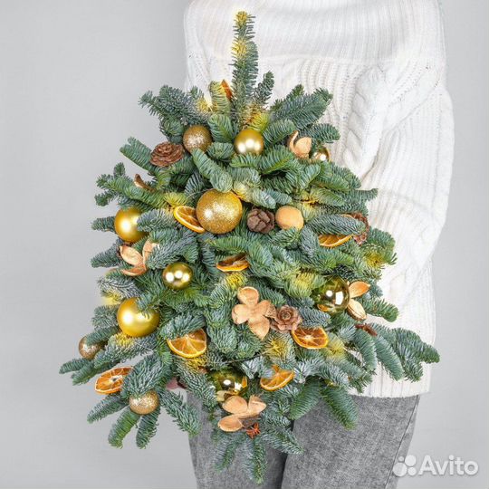 Ель живая нобилис