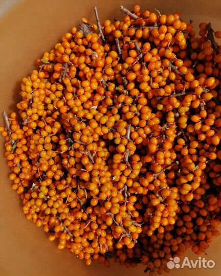 Облепиха (ягоды и сок), базилик, чеснок