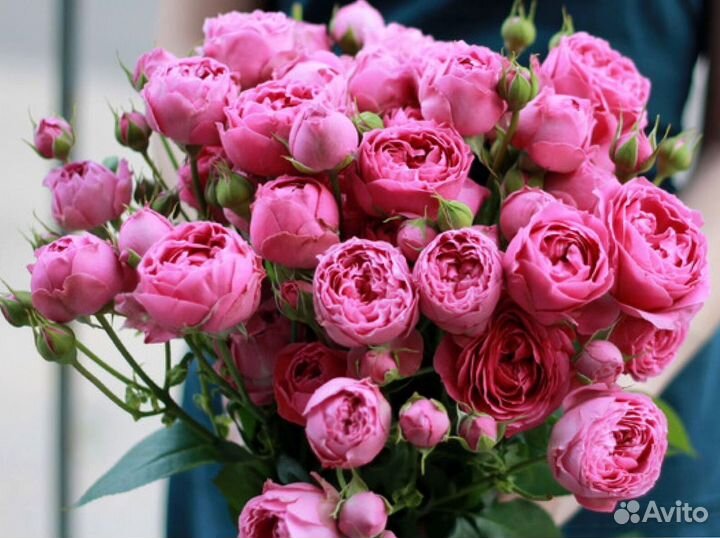 Букет из 41 кустовой розы