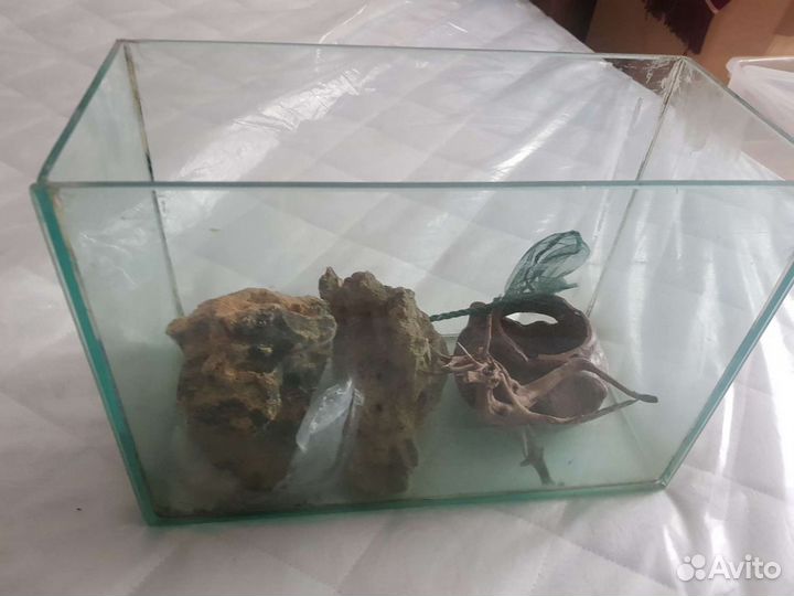 Аквариум+фильтр+температурная установка