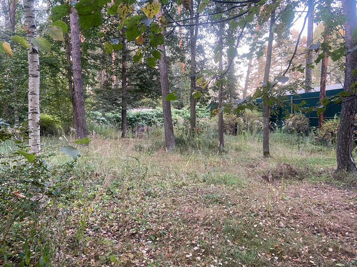 Участок 10 сот. (СНТ, ДНП)