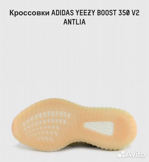 Кроссовки adidas yeezy boost 350 v2 antlia