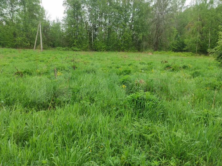 Участок 16,5 сот. (ИЖС)