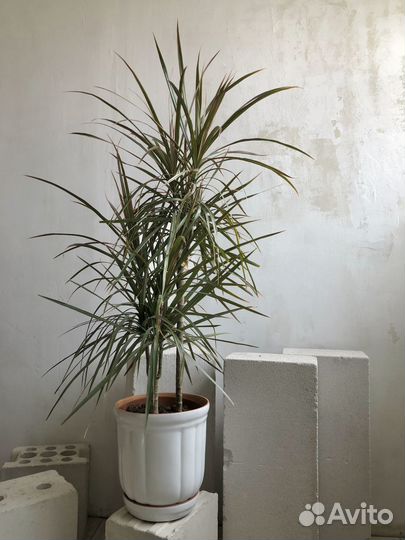 Горшок для цветов 