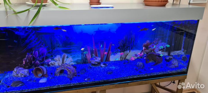 Аквариум с тумбой 450 литров