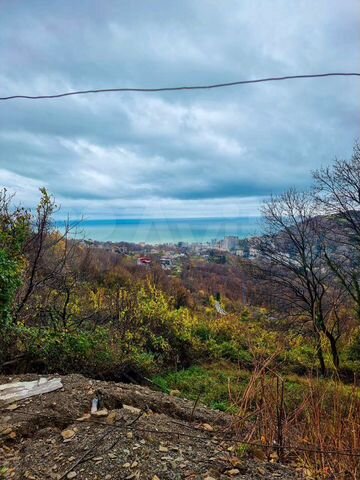 Участок 6,5 сот. (СНТ, ДНП)