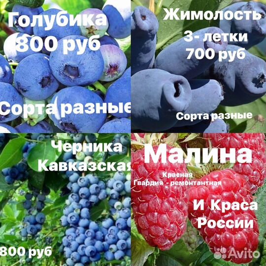 Плодовые растения