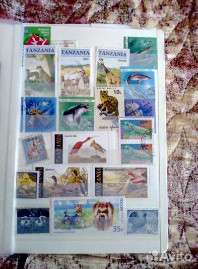 Коллекция почтовых марок+блок марок 800 лет нн