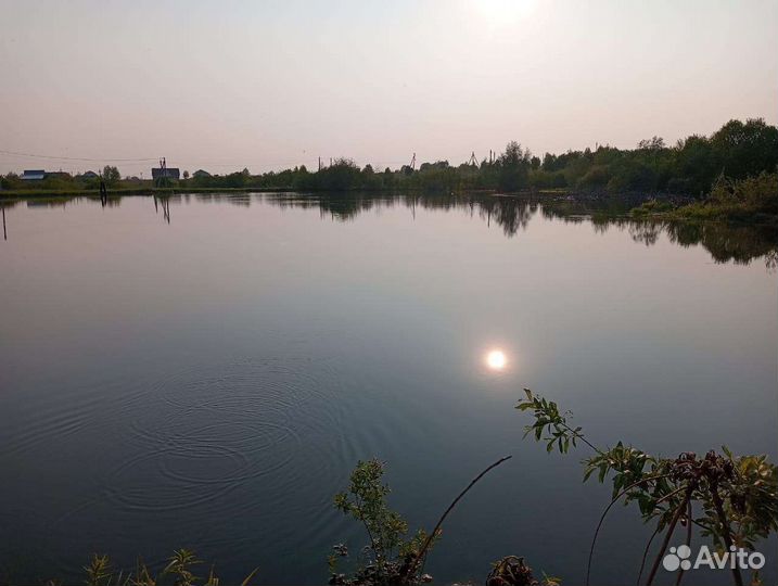 Платная рыбалка