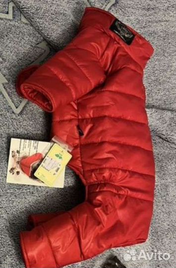 Одежда для собак комбинезоны Puppy Angel M/L,L