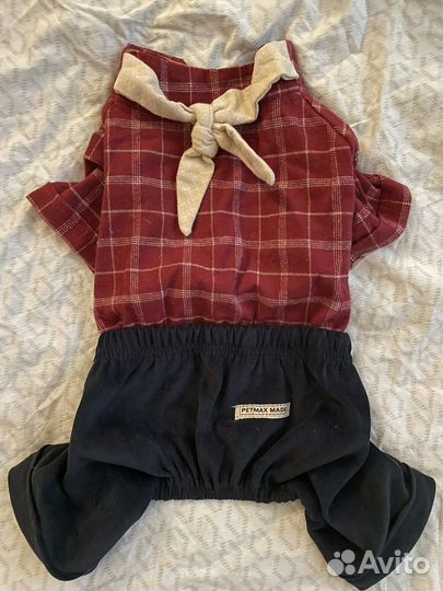 Одежда для собак