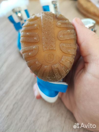 Обувь для собак