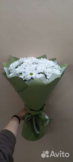 Хризантема