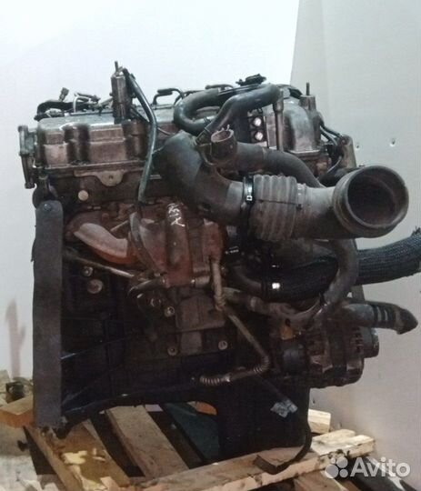 Контрактный двигатель SsangYong D20DT 664951 E4