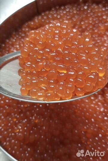 Свежая икра