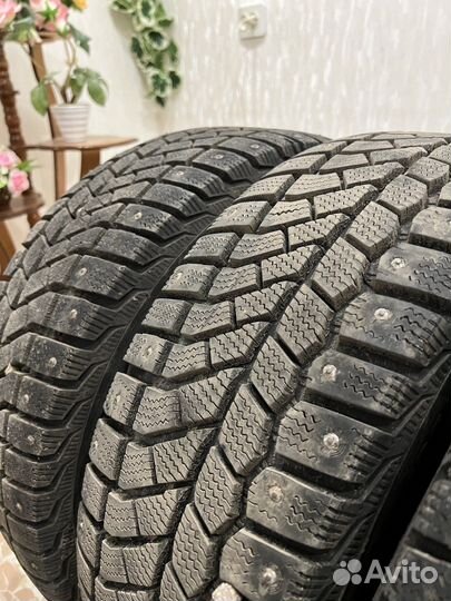 Viatti Bosco Nordico V-523 195/55 R15