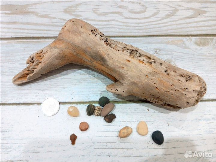 Коряги. Декор. Дрифтвуд