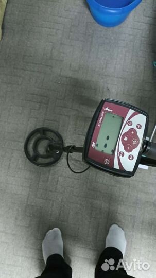 Металлоискатель Minelab X-Terra 305