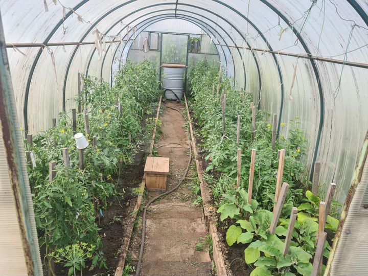 Дача 25 м² на участке 11 сот.