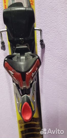 Горные лыжи