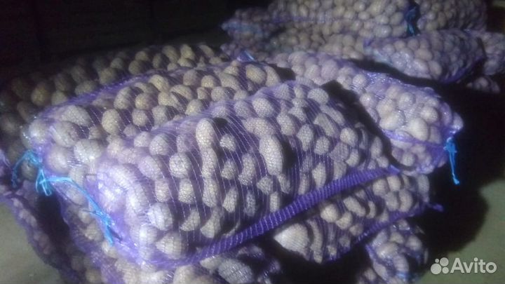 Картофель оптом