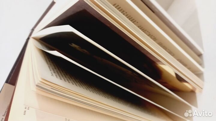 Энгр, В.Н. Березина, 1992