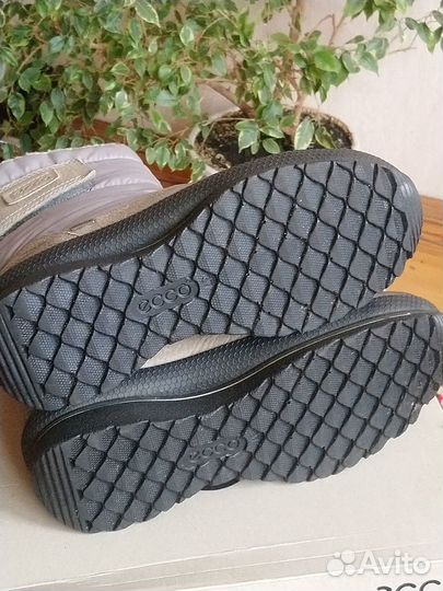 Сапоги ессо