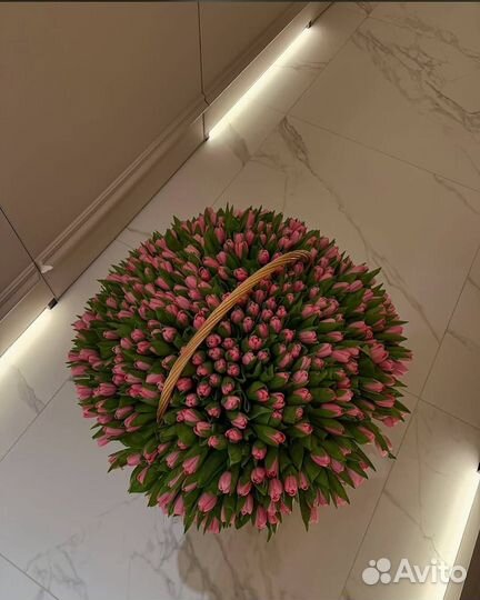 Тюльпаны 51 шт