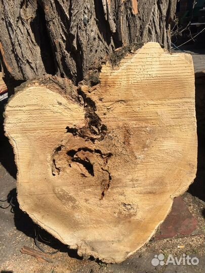 Слэб лофт свайс спил клен сухой