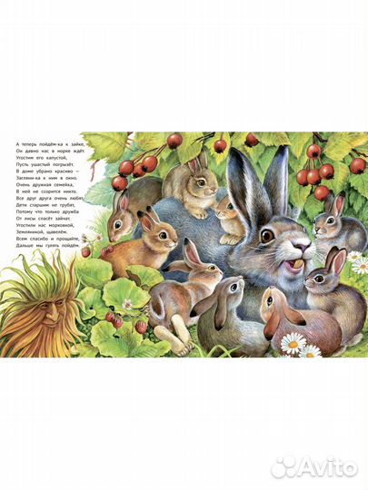 Энциклопедия для детей в стихах. Лес чудес