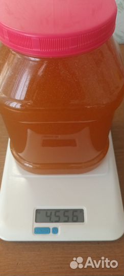 Банка пластиковая 3л с мёдом