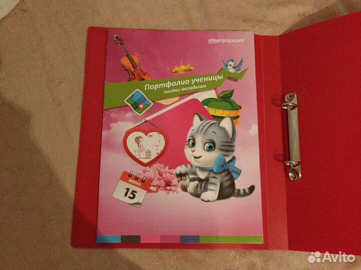 Папка-портфолио начальных классов