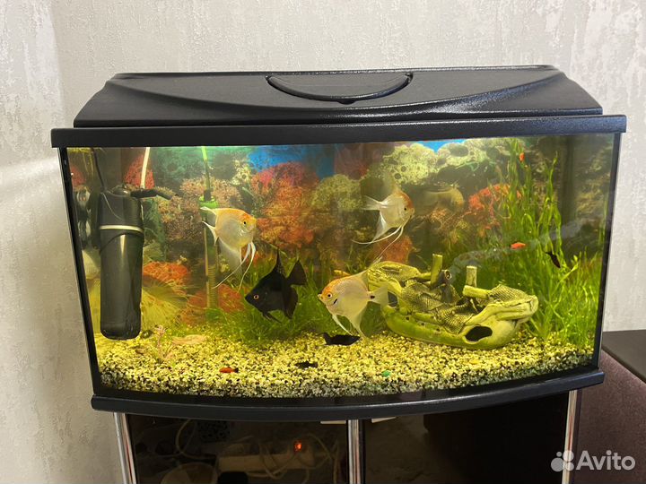 Аквариум