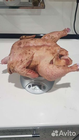 Мясо бройлеров