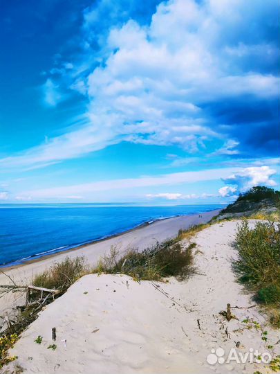 Индивидуальные экскурсии на Куршскую косу