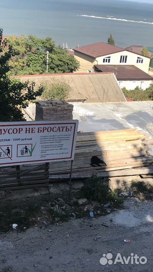 Кошки в добрые руки