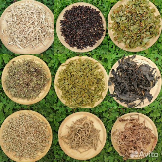 Травяные сборы оптом