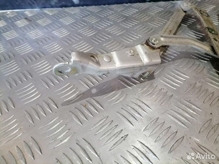 Петли багажника Ford Focus 2 1.4 2004-2011