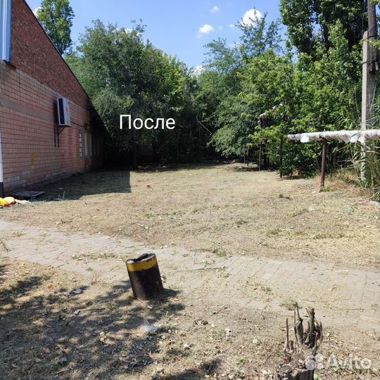 Покос травы триммером