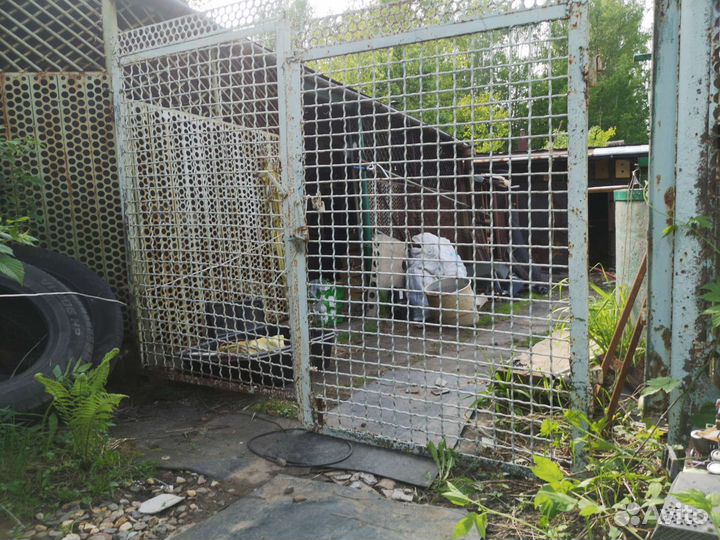 Ворота дверь калитка для дачи