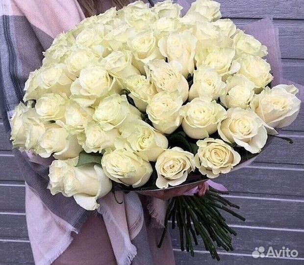 101 роза цветы букеты доставка 25 51 101 роза