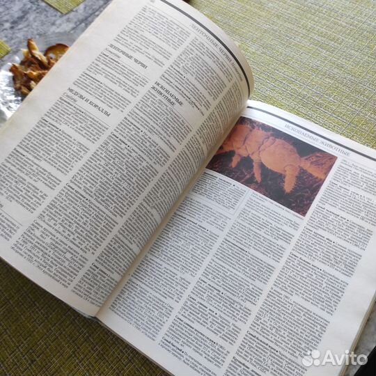 Книга рекордов Гиннеса 1991 год