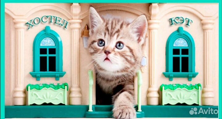 Временная передержка