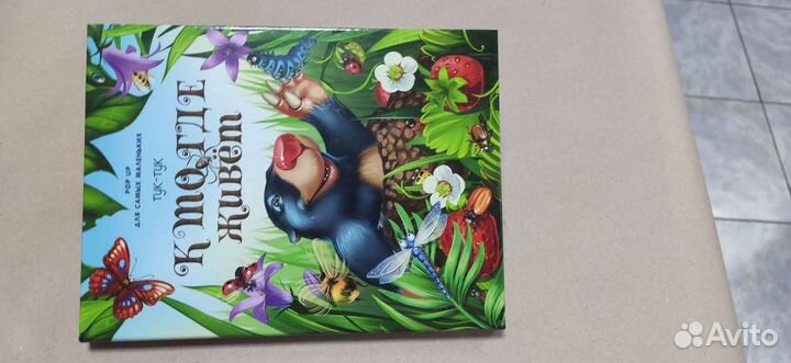 Книги энциклопедии pop-up malamalama