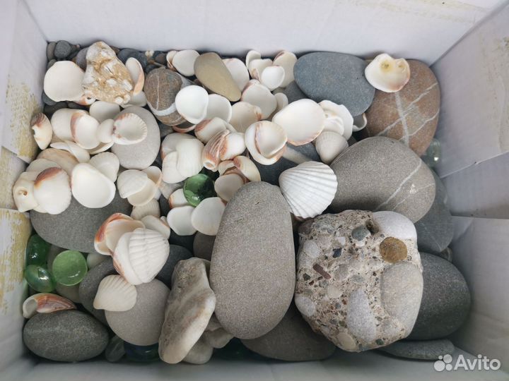 Камни, ракушки для аквариума