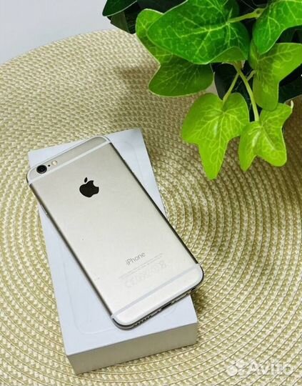 iPhone 6, 16 ГБ