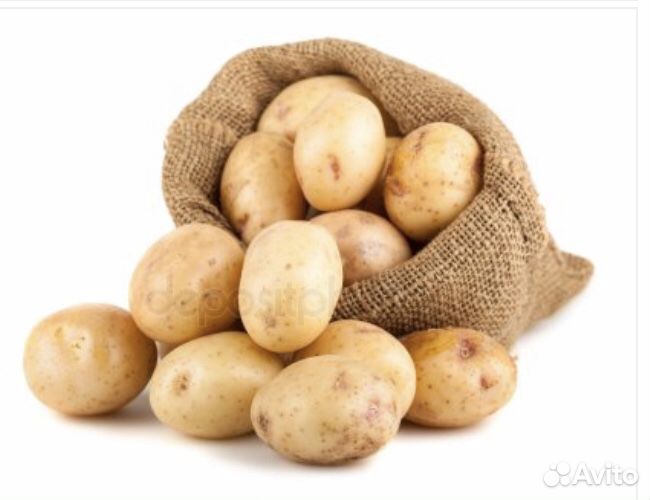 Крупная домашняя картошка