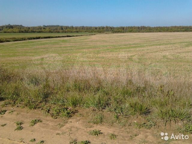 Участок 1,5 га (ИЖС)